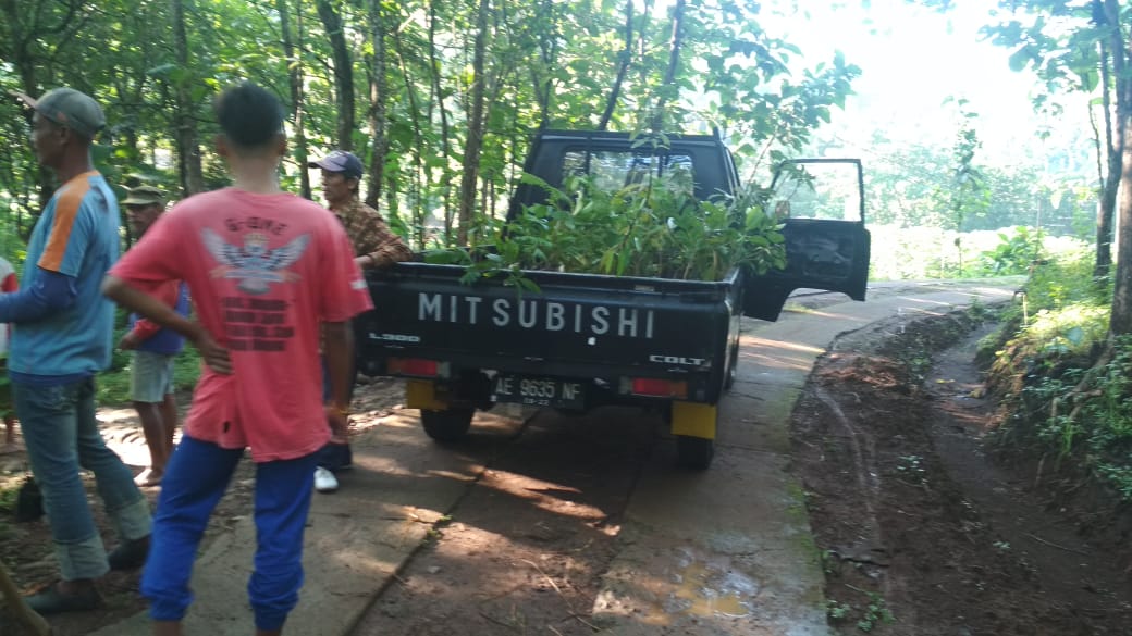 PENANAMAN PANGHIJAUAN DI JOKETRO